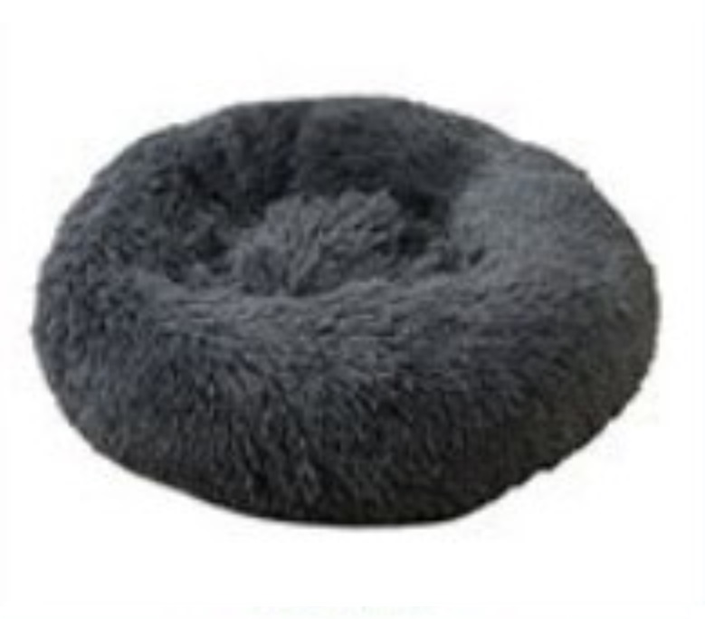 1st pet bed.31 1st pet bed.31