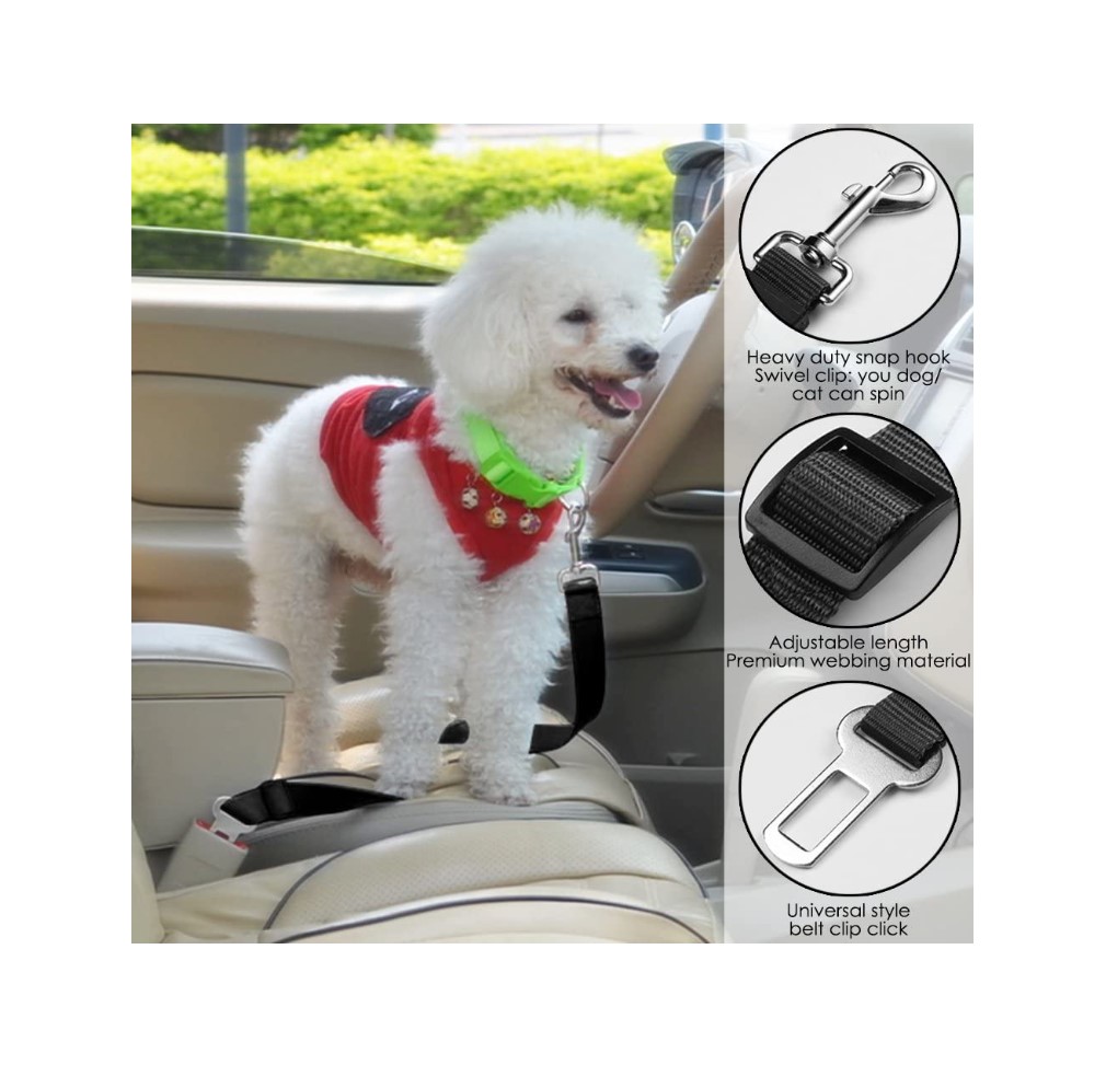 Dog Safety belt 6