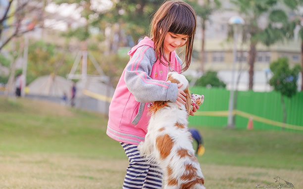 What should we do when we encounter cats losing hair?