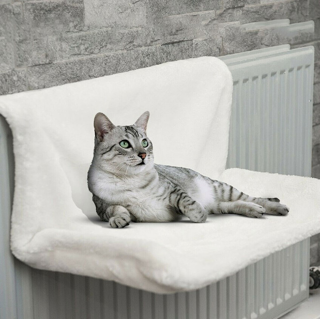 Cat Radiator Bed