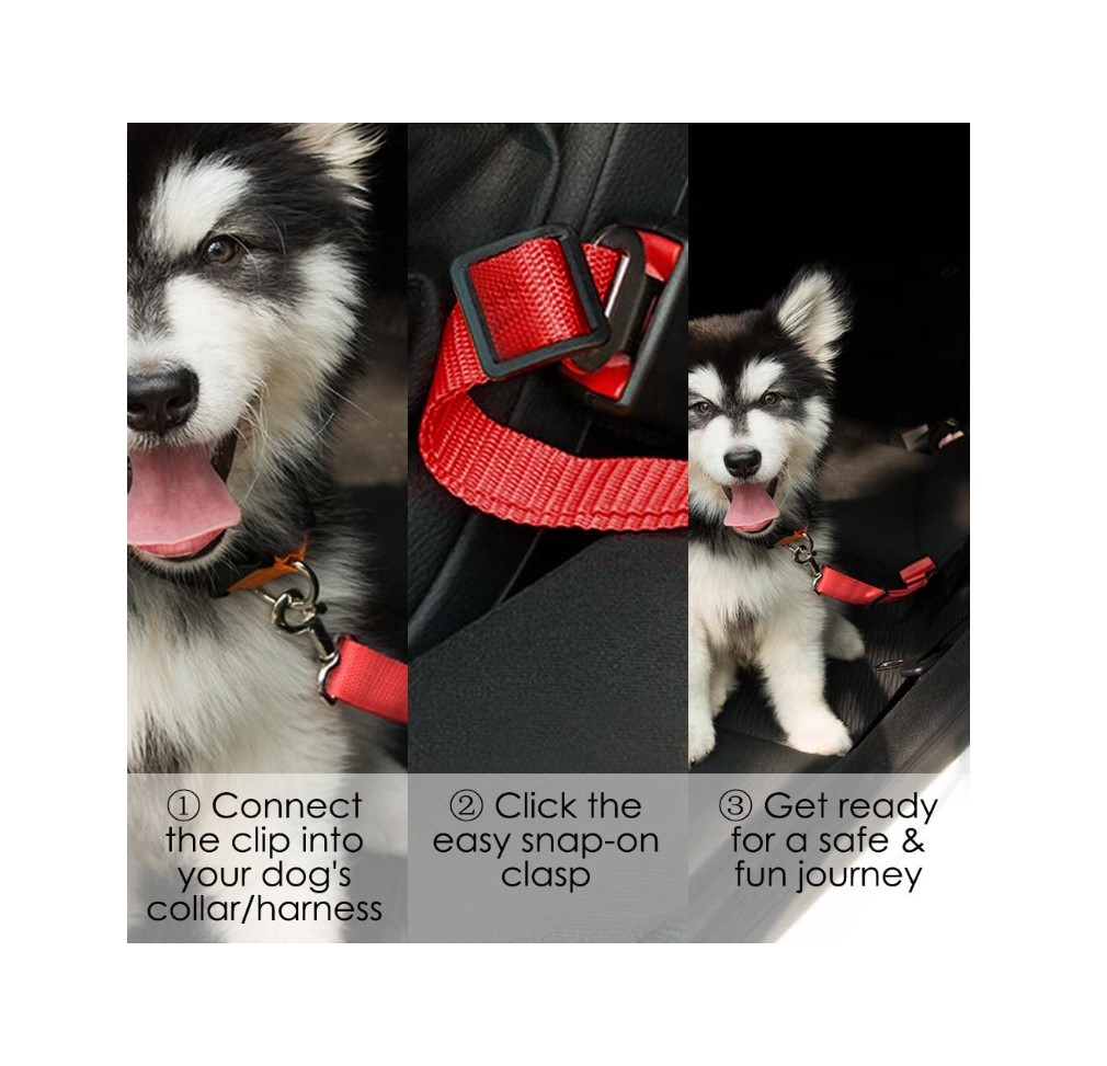 Dog Safety belt 7