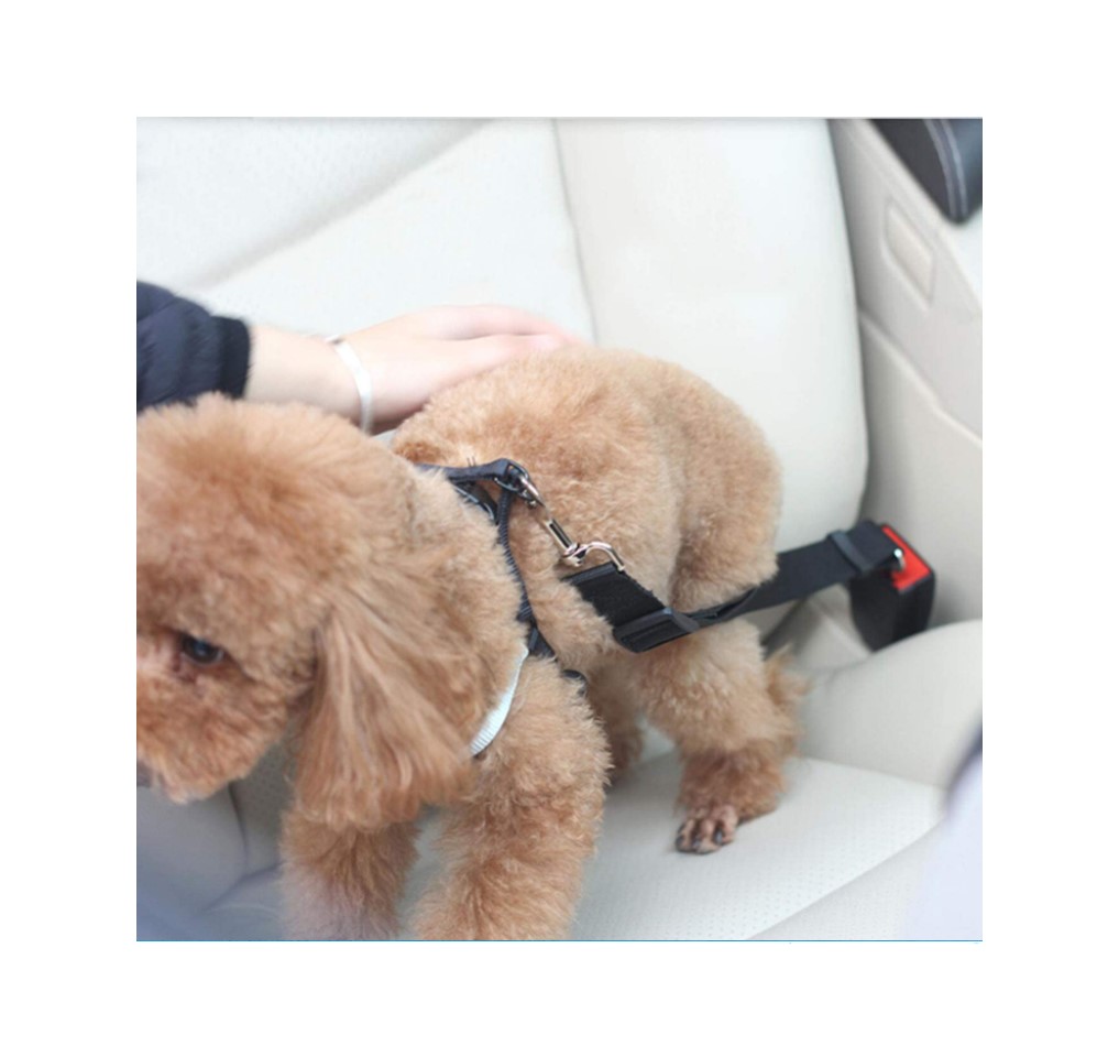 Dog Safety belt 37
