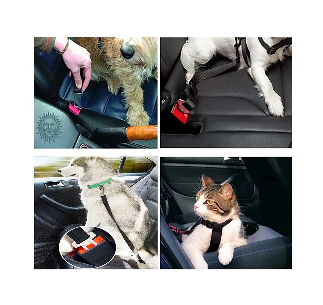 Dog Safety belt 26