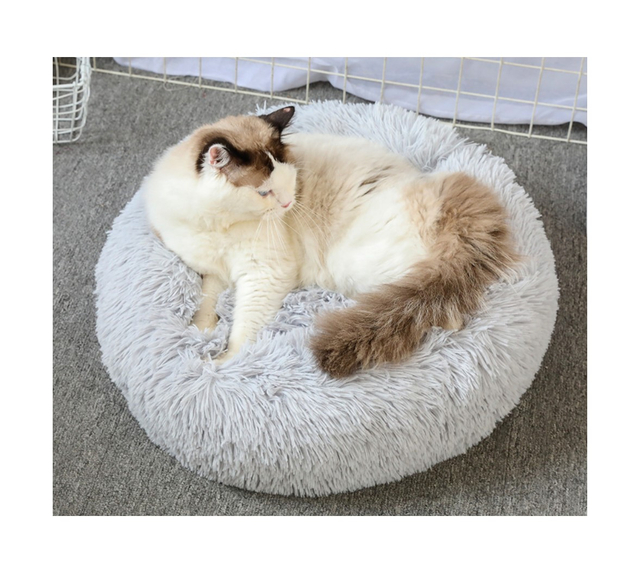 Pet Bed