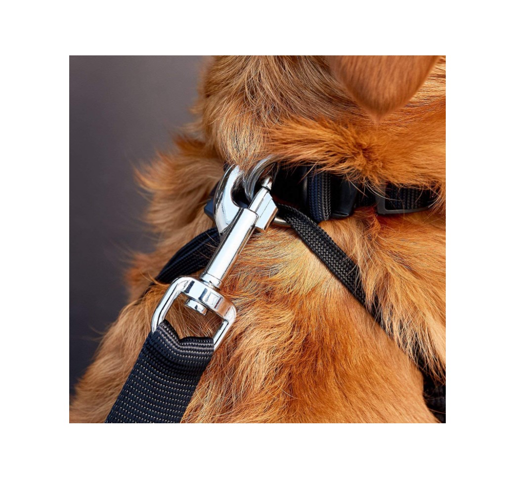 Dog Safety belt 41
