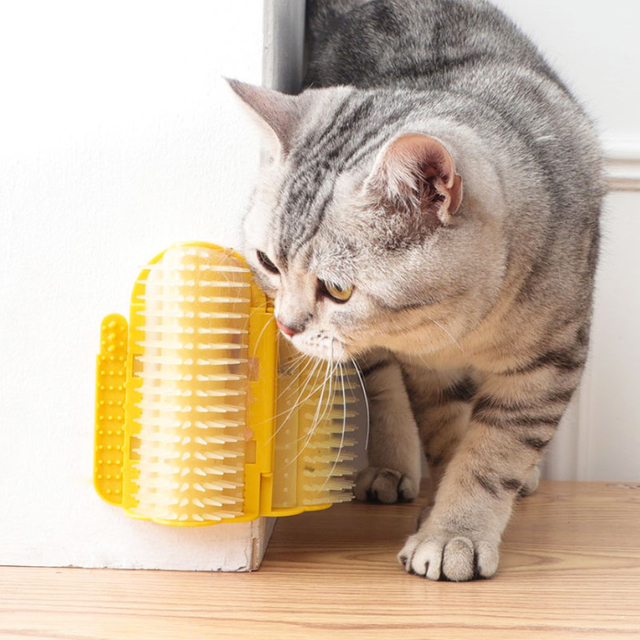 Cat Self Groomer Corner