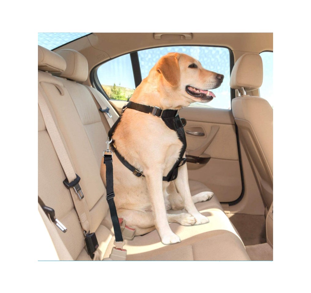 Dog Safety belt 38