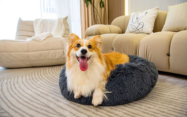 Disposable Non-waterproof, Hiking Near 70% Failed