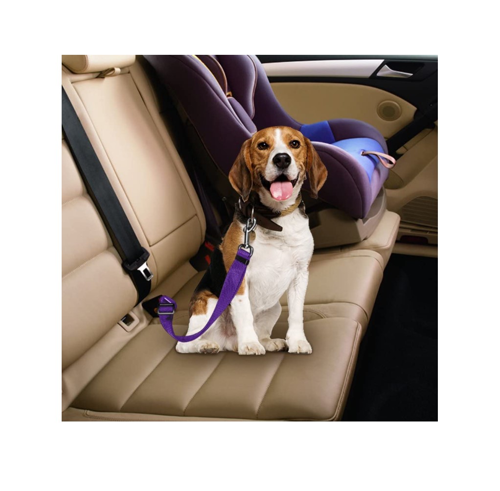 Dog Safety belt 5