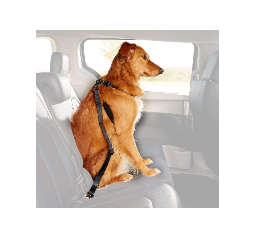 Dog Safety belt 40